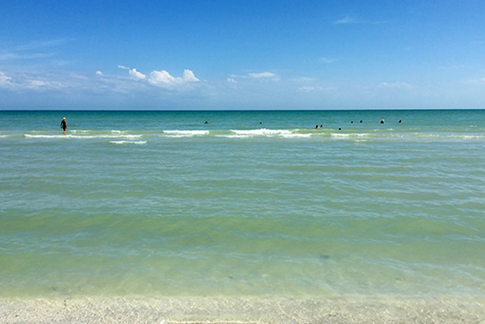 Sanibel Island Beaches Captiva Island Beaches