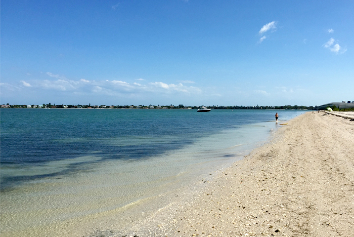 are dogs allowed on sanibel island beaches