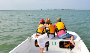 family conservation programs on sanibel and captiva islands