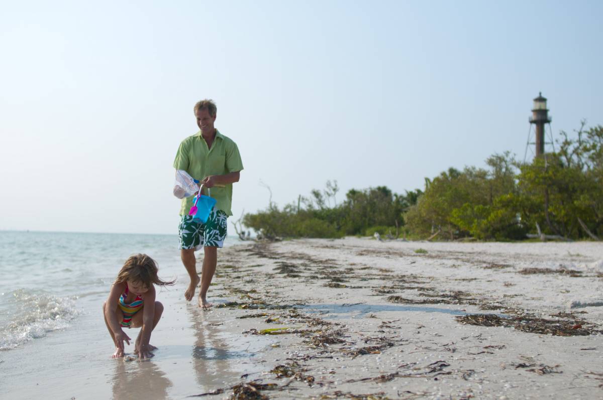 The Best Shelling Beach On Sanibel And Captiva Beaches Edition